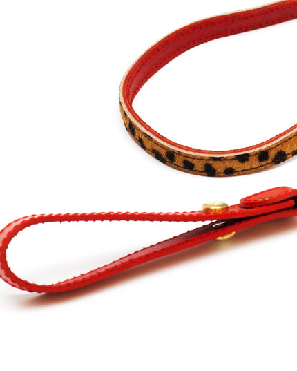 Cat leash panter print