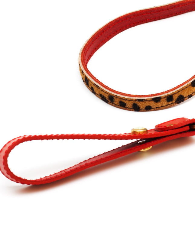 Cat leash panter print