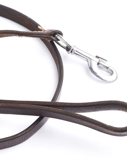 Brown leather dog leash