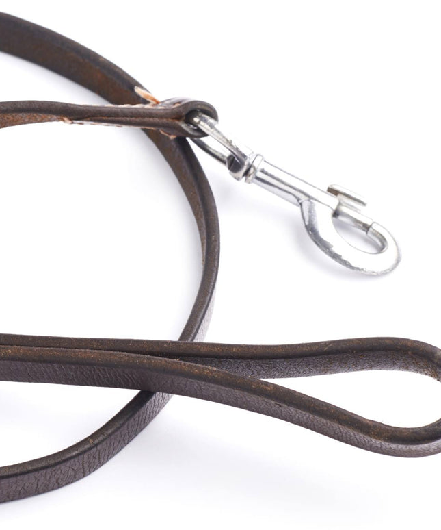 Brown leather dog leash