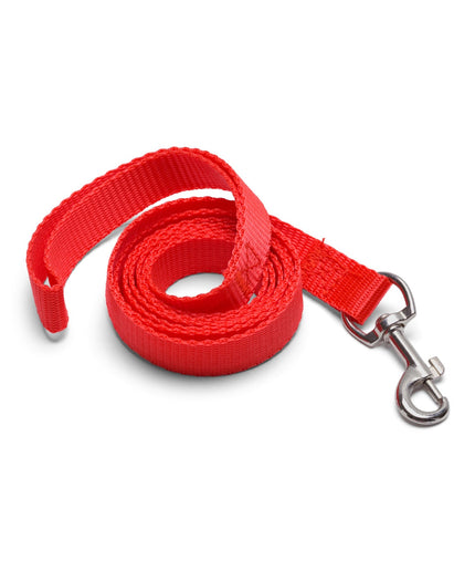Flashy red leash