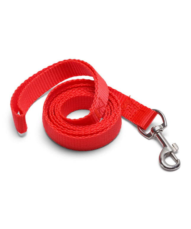 Flashy red leash