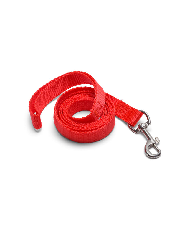 Flashy red leash