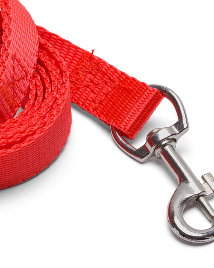 Flashy red leash