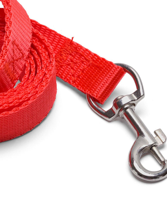 Flashy red leash