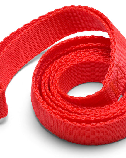 Flashy red leash