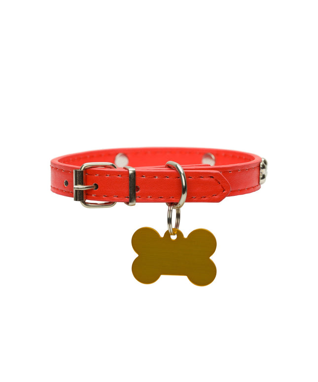 Collar with bone tag