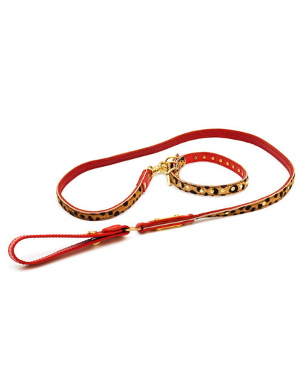 Cat leash panter print