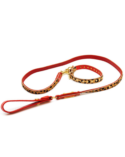Cat leash panter print