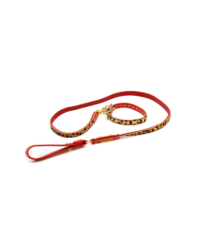 Cat leash panter print