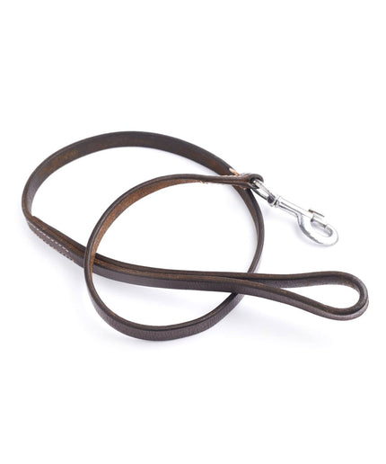 Brown leather dog leash