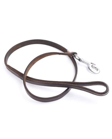 Brown leather dog leash