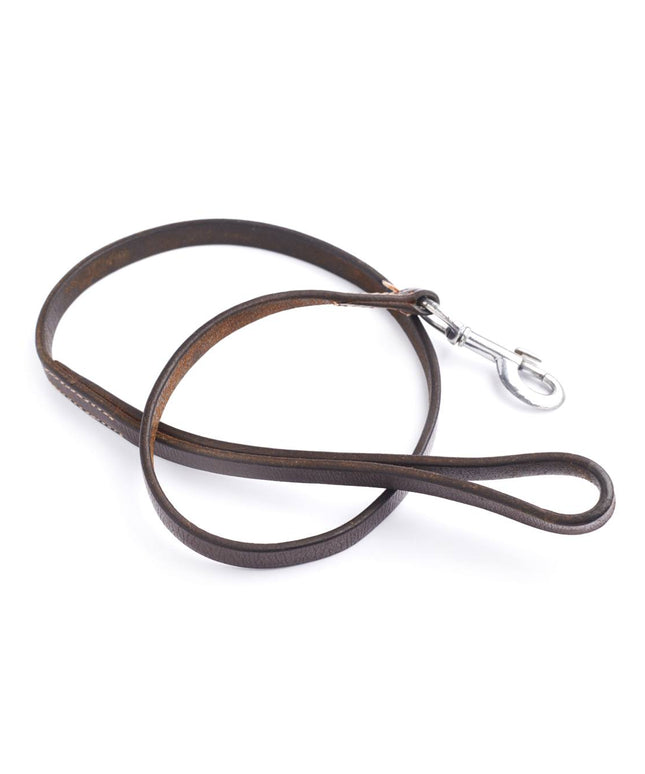 Brown leather dog leash