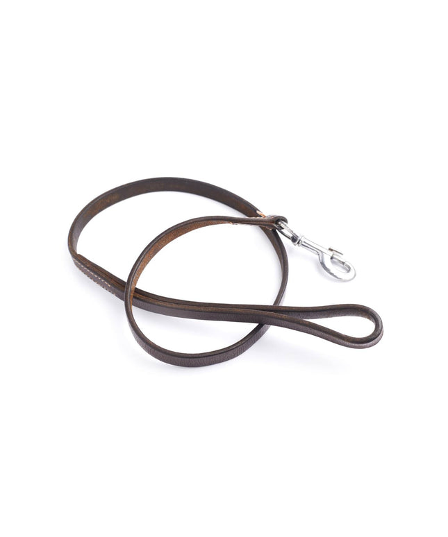 Brown leather dog leash