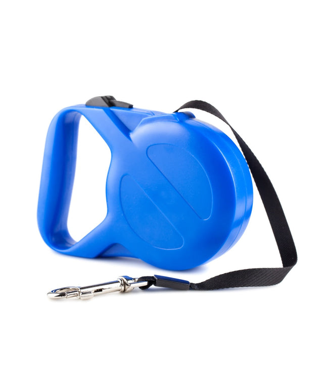 Blue dog leash