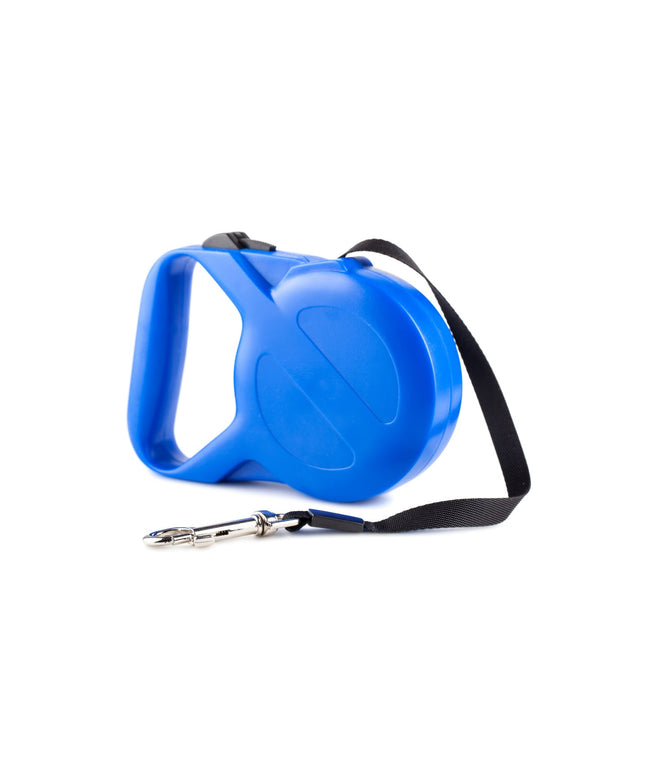 Blue dog leash