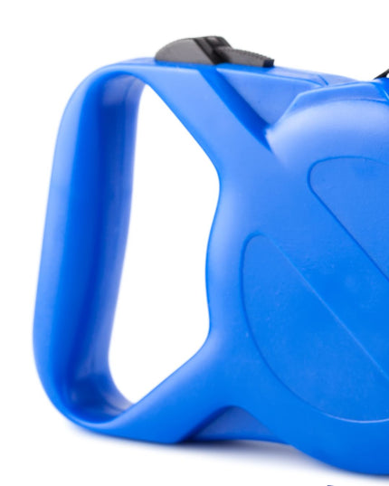 Blue dog leash