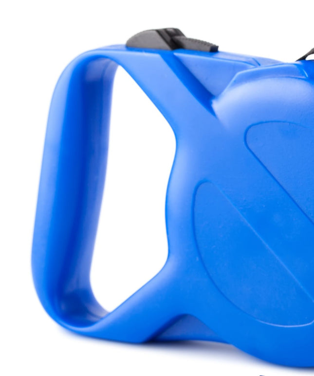Blue dog leash