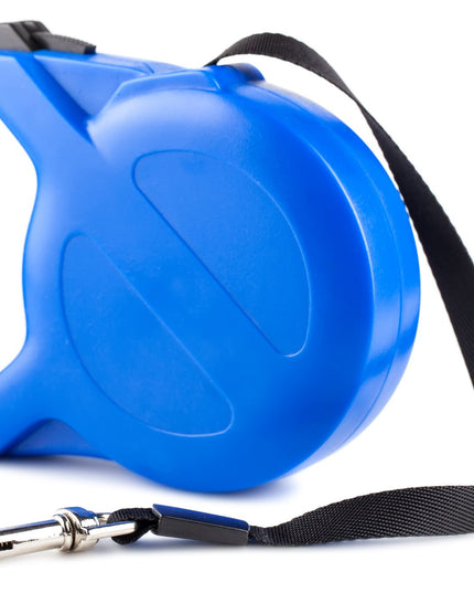 Blue dog leash