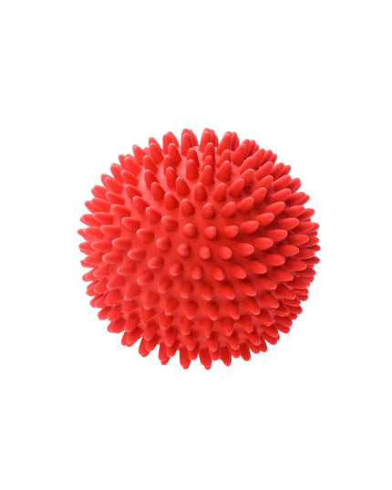 Plastic dog ball