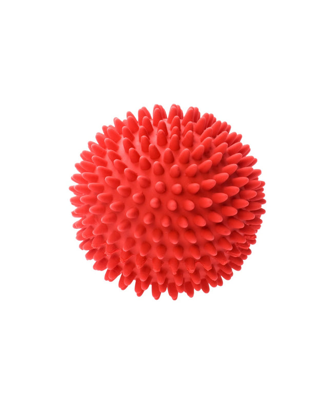 Plastic dog ball