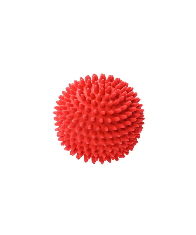 Plastic dog ball