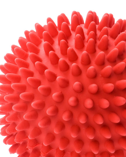 Plastic dog ball