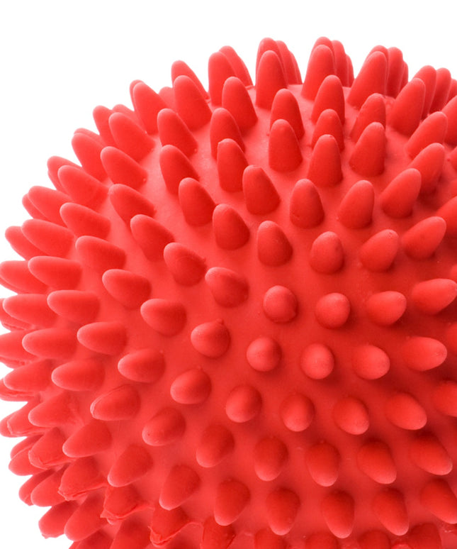 Plastic dog ball