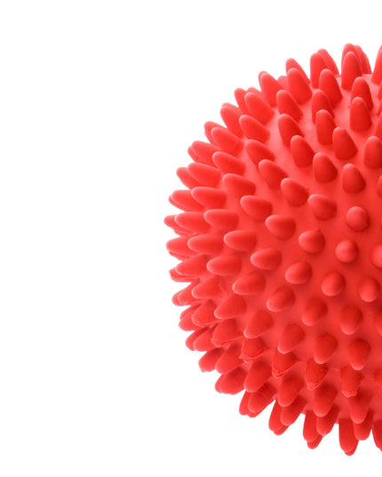 Plastic dog ball