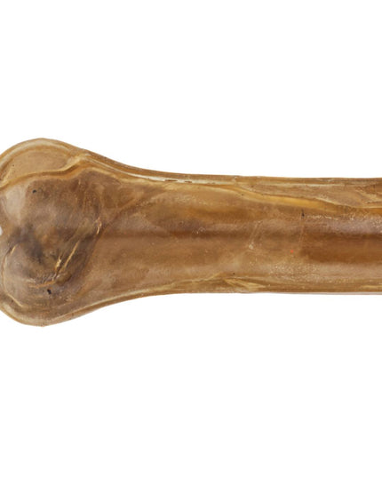 Dog chewing Bones Knotted