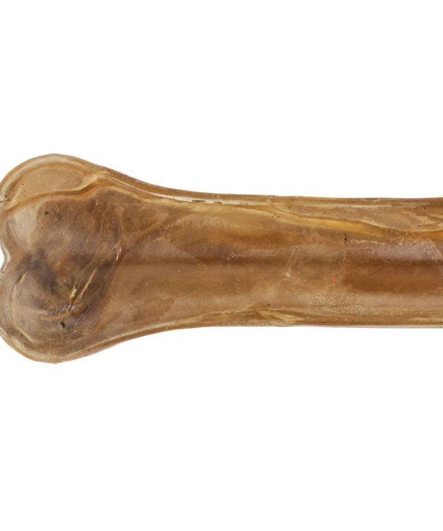 Dog chewing Bones Knotted