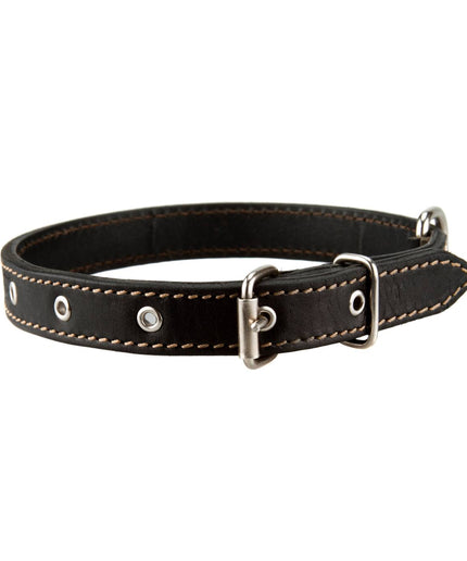 Leather dog collar black