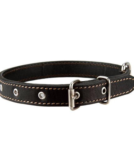 Leather dog collar black