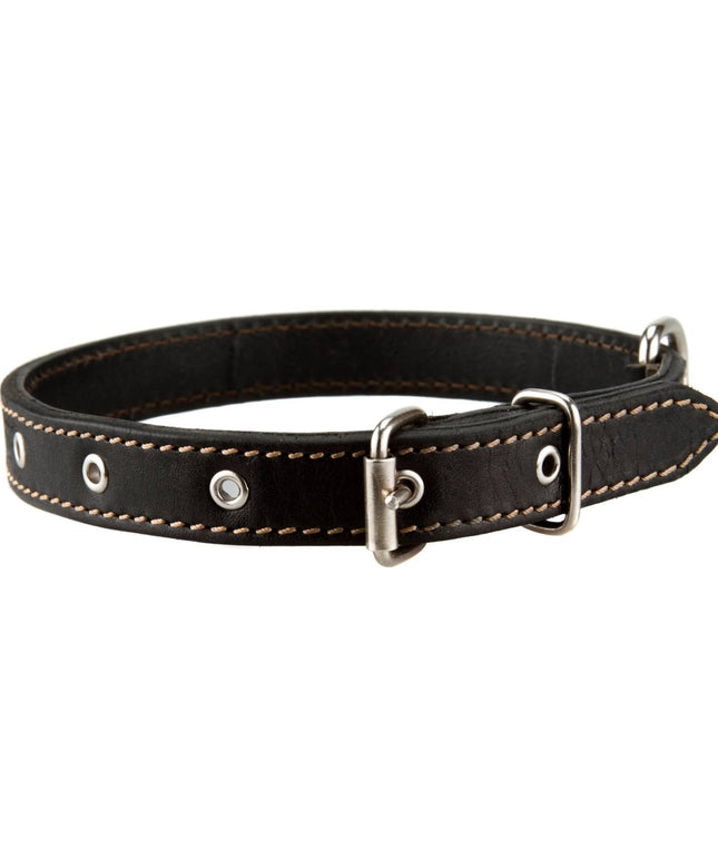 Leather dog collar black