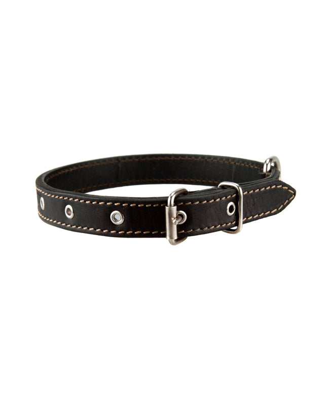 Leather dog collar black