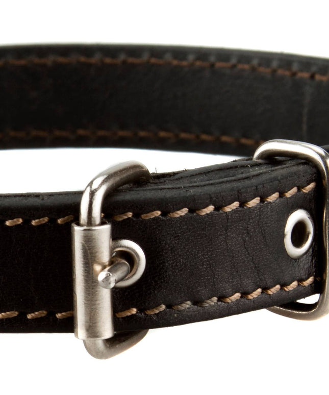 Leather dog collar black