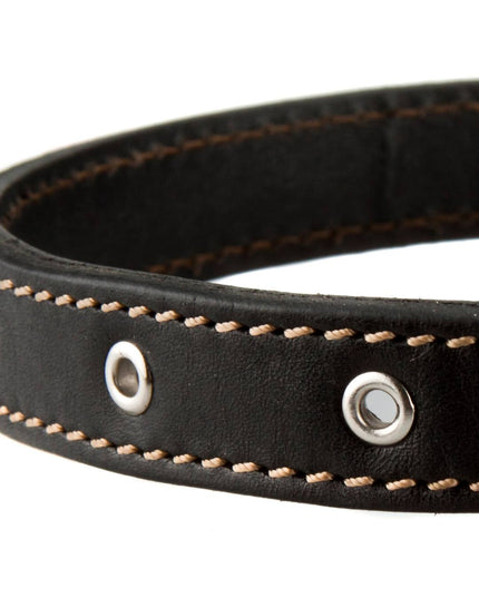 Leather dog collar black