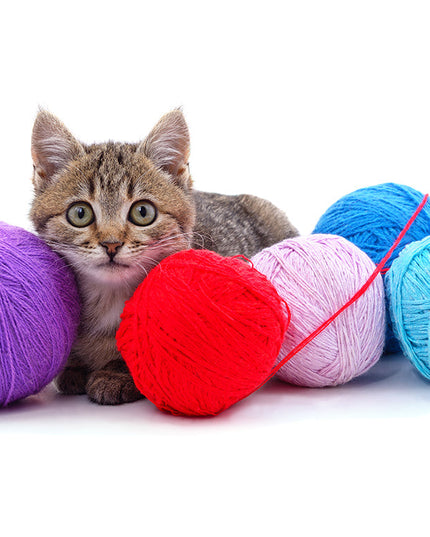 Kitten toy Ball-ball