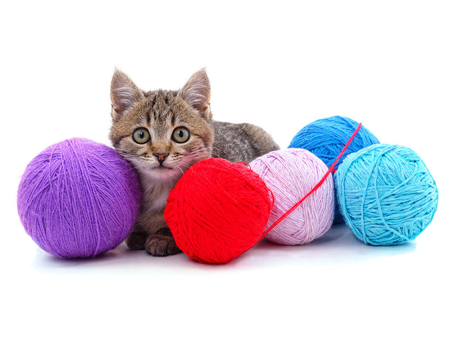 Pink Kitten Ball-ball