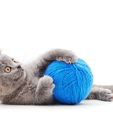 Kitten toy Ball-ball
