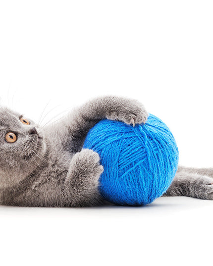 Kitten toy Ball-ball