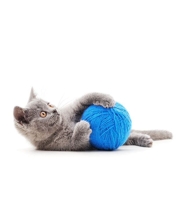 Kitten toy Ball-ball