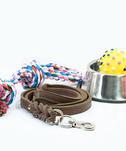 Bunch of Dog toys