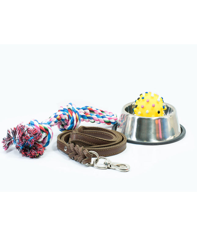 Bunch of Dog toys