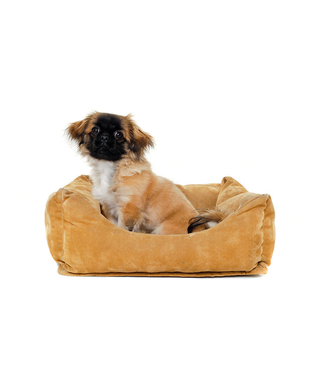 Dog Bed Fluffy