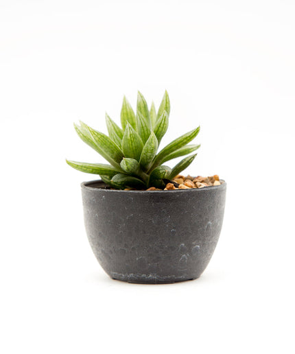 Pot with artificial plant
