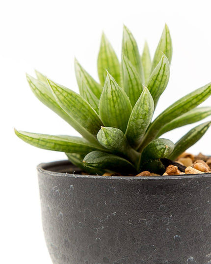 Pot with artificial plant