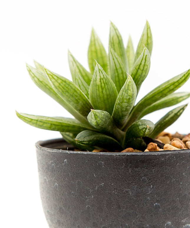 Pot with artificial plant