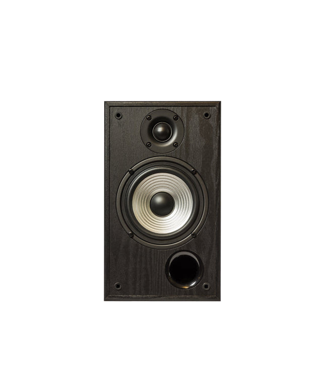 Modern walnut HiFi speaker