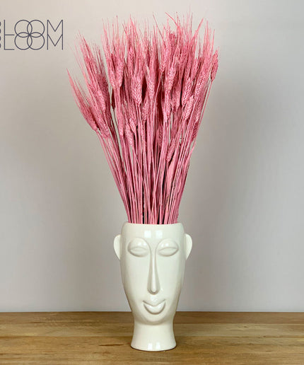 Everlasting Dried Pink
